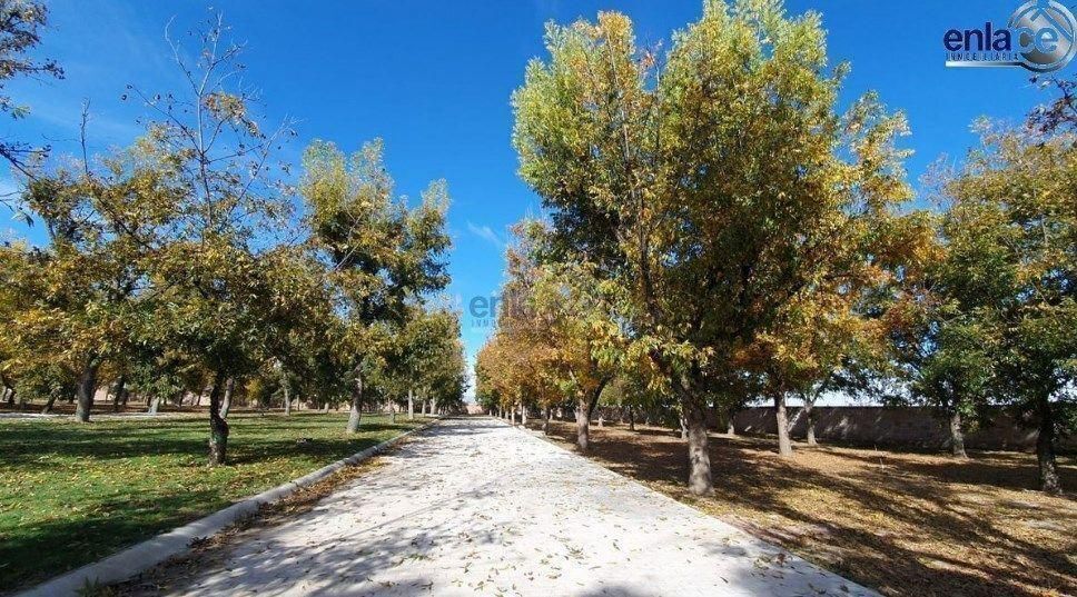 Lote em Haciendas del Campestre, Durango, foto 3 de 11