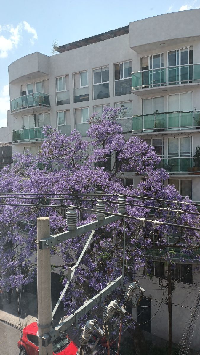 Imagen 7 de 10