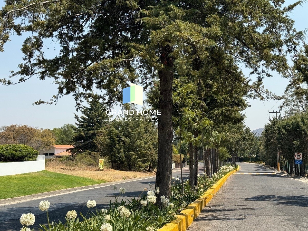 3 de 20