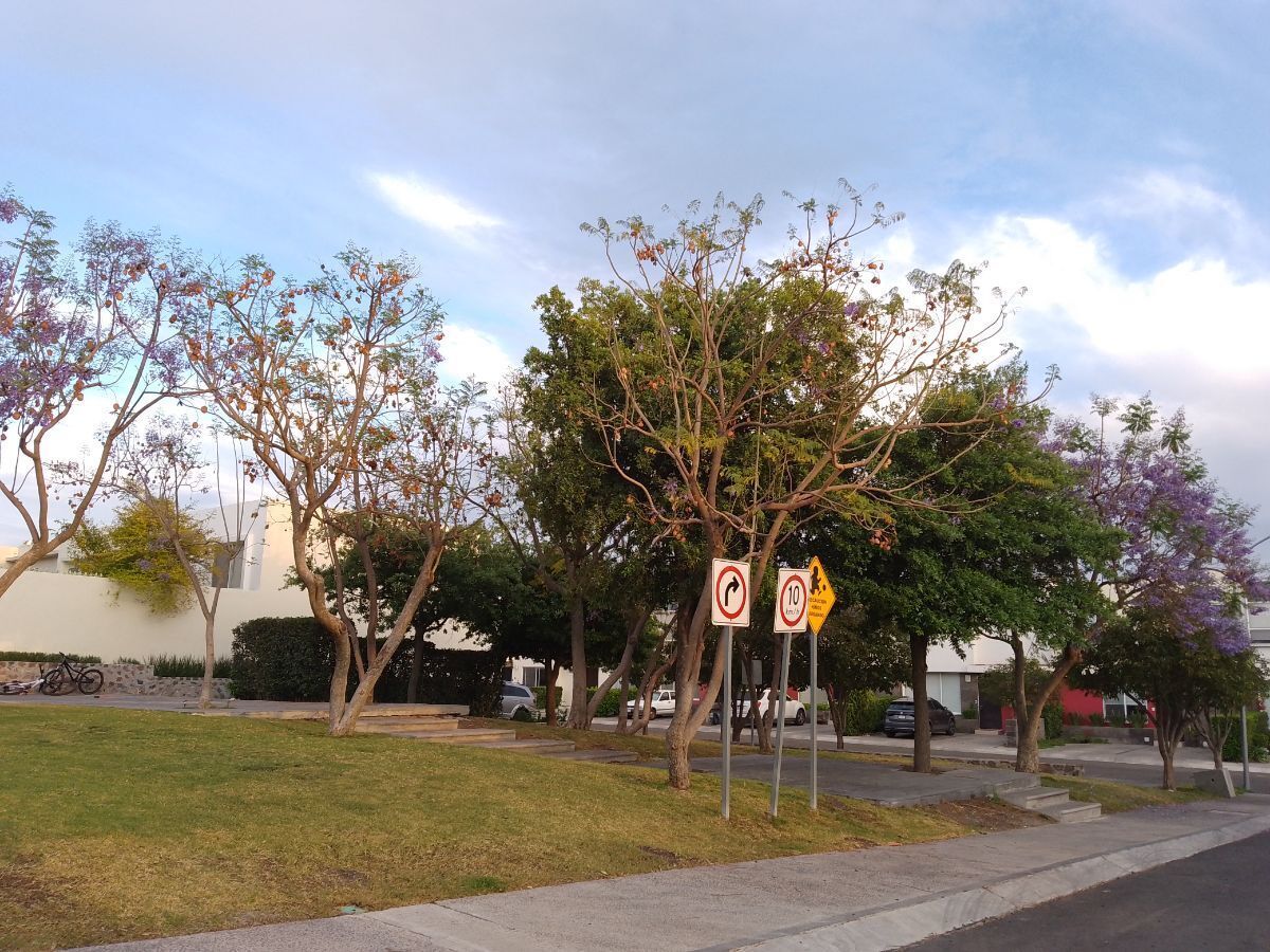 2 de 11