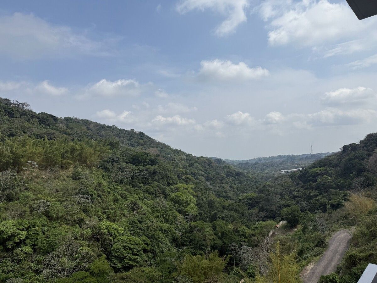 13 de 26