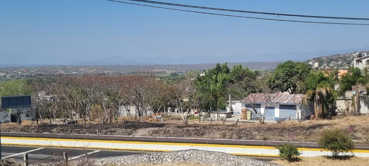 2 de 2