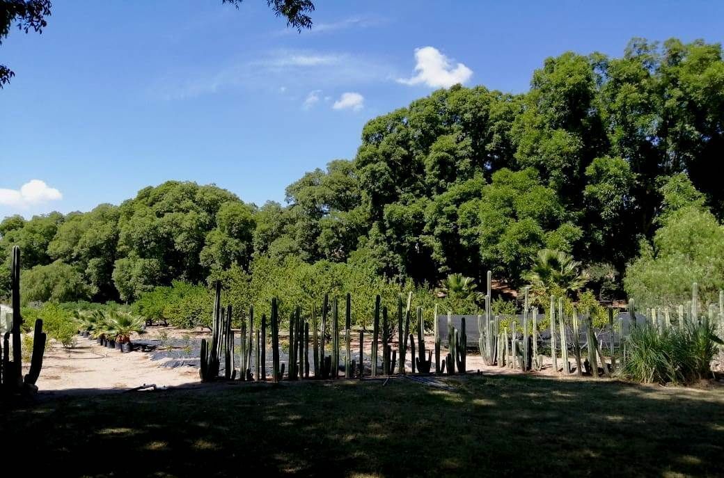 El Espejo de Alas Residential