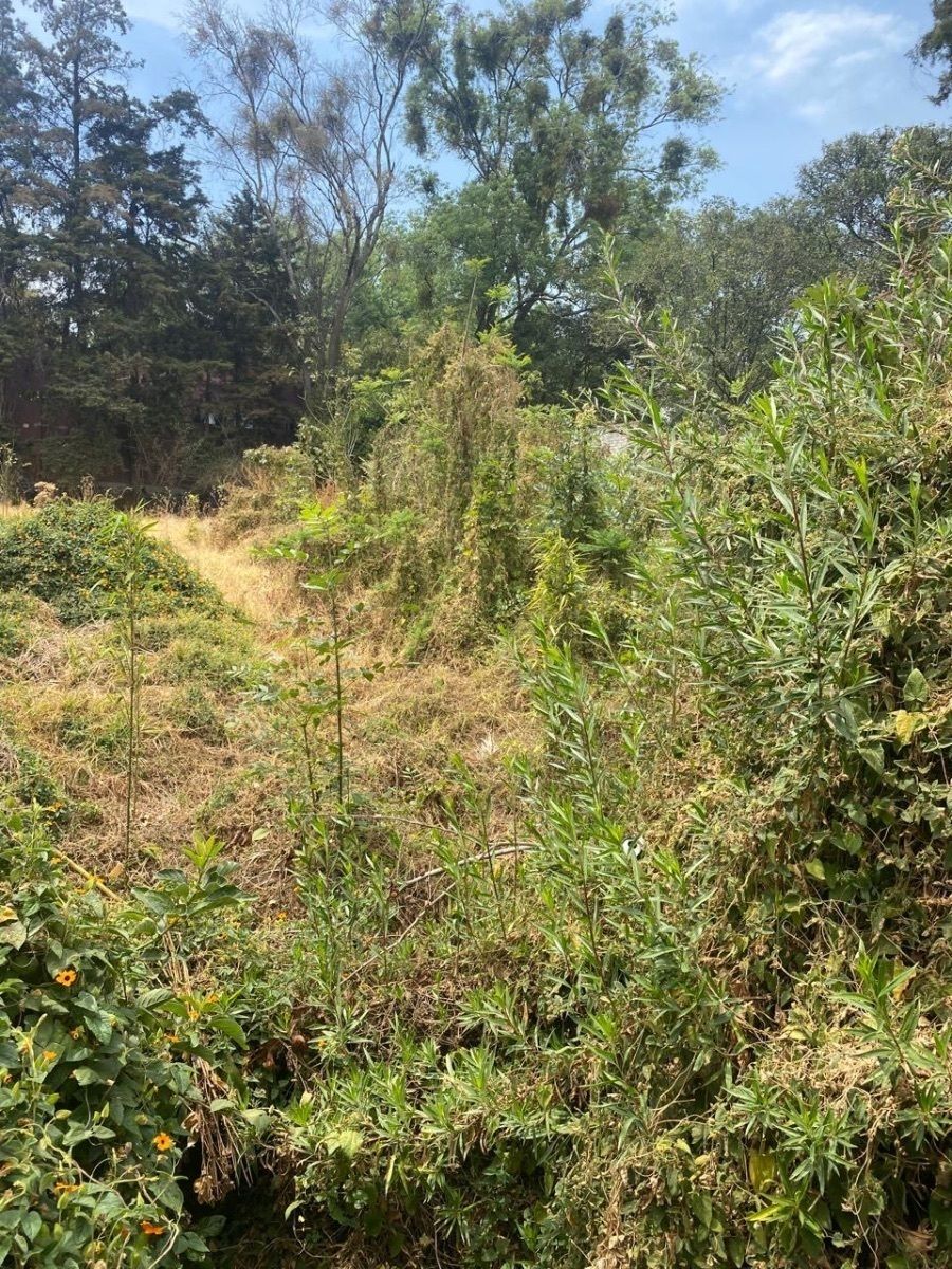 TERRENO EN VENTA EN SAN JERÓNIMO LIDICE!!! - foto 2
