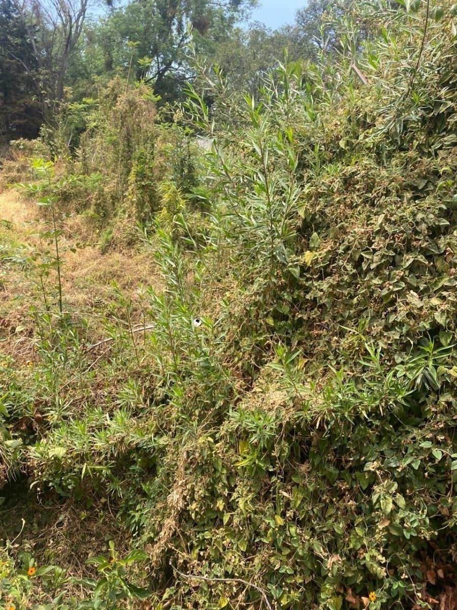 TERRENO EN VENTA EN SAN JERÓNIMO LIDICE!!! - foto 3