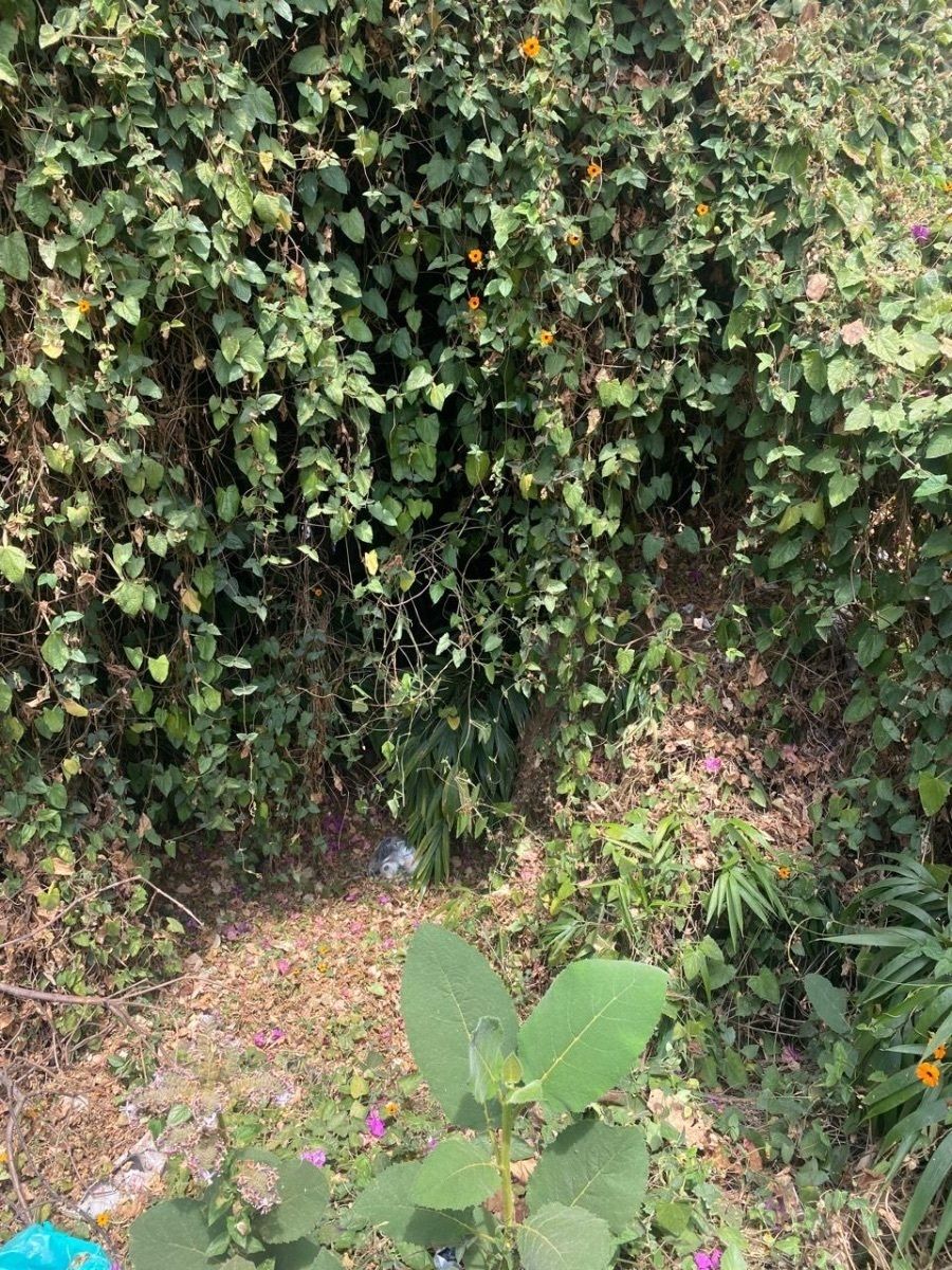 TERRENO EN VENTA EN SAN JERÓNIMO LIDICE!!! - foto 4