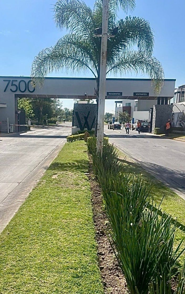 Ingreso