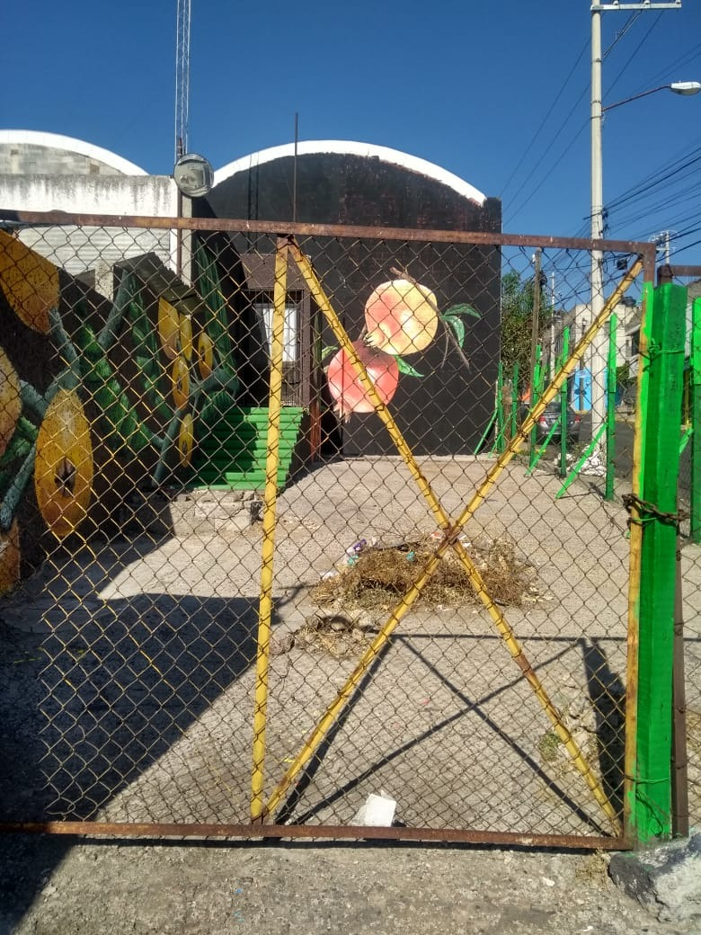 5 de 7