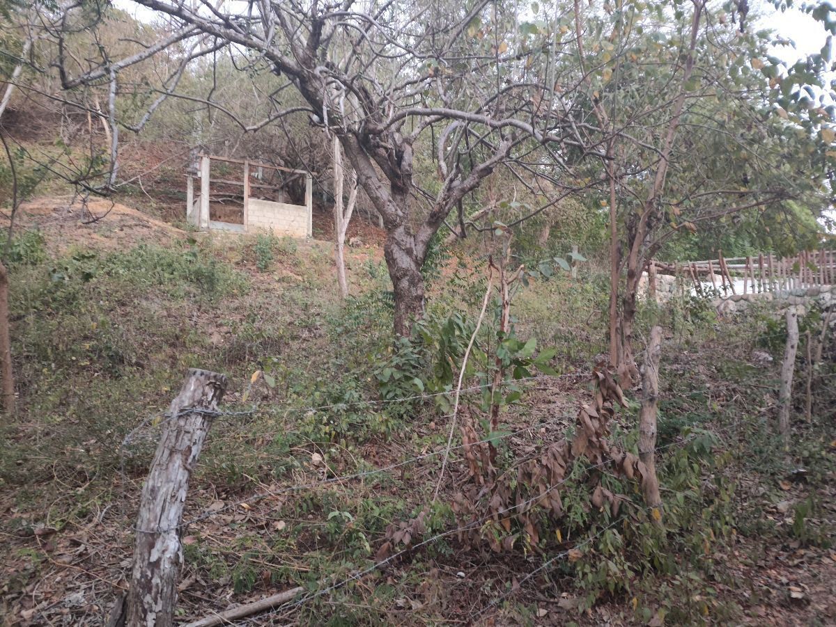 Terreno en Venta en Mazunte Oaxaca