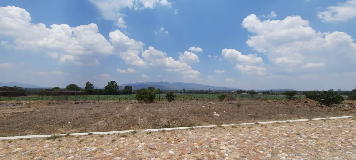 14 de 25