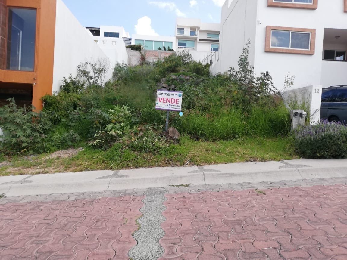 https://assets.easybroker.com/property_images/4388905/73260909/EB-PV8905.jpg?version=1711651007