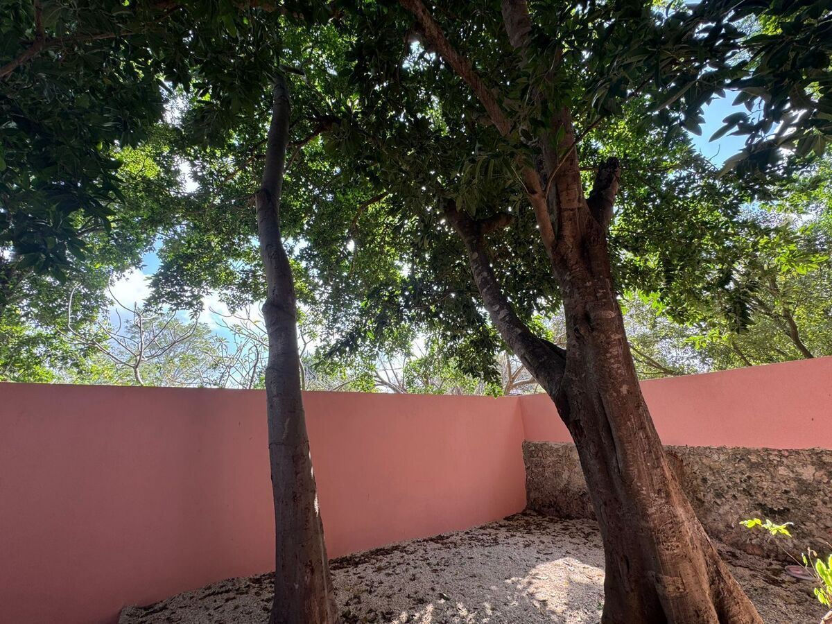 11 de 26