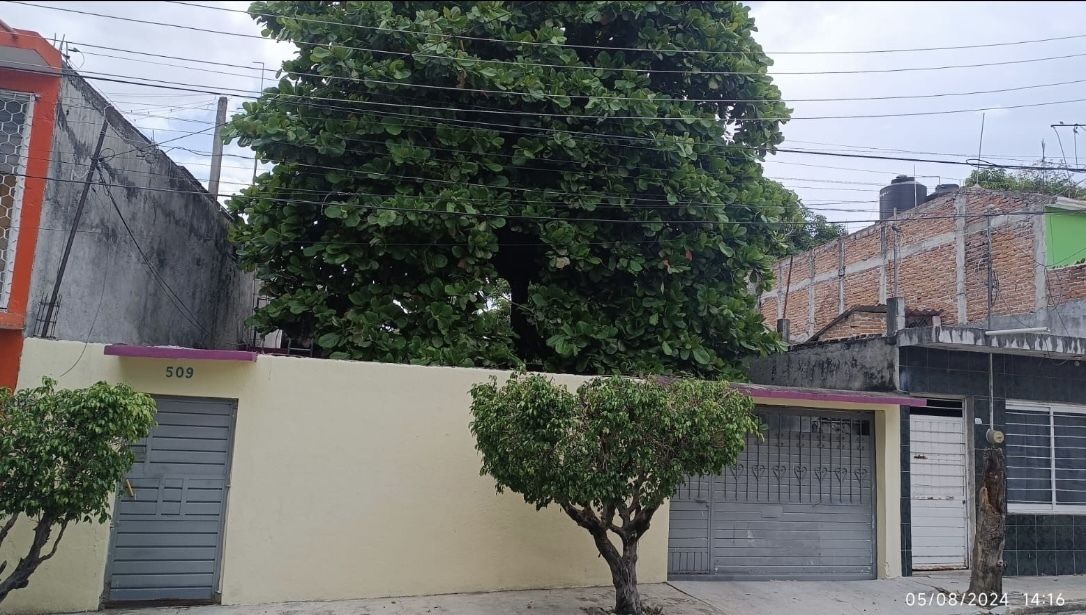 Imagen 5 de 9