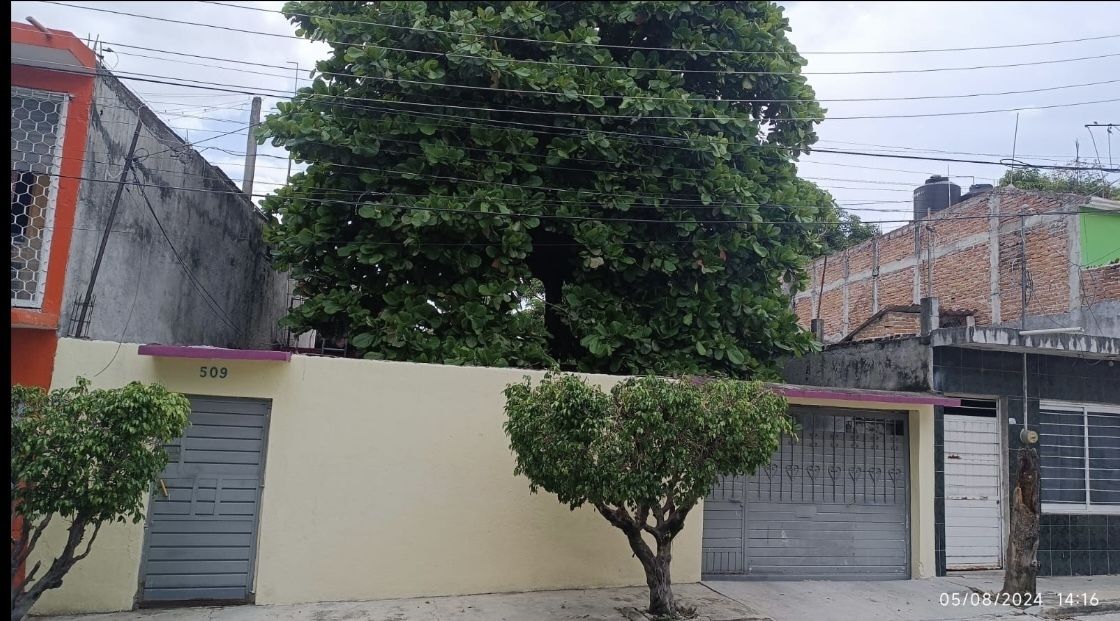 Imagen 8 de 9