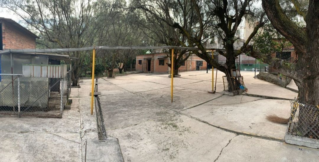 1 de 6