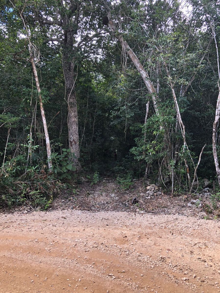 2 de 4