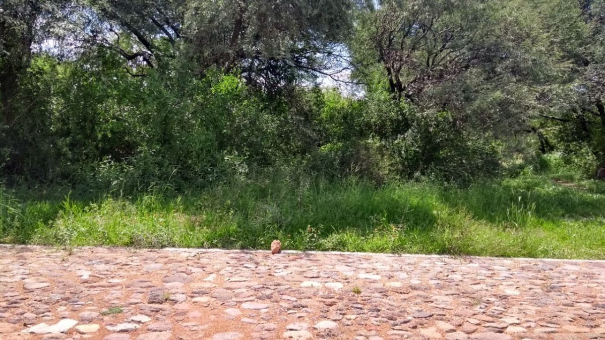 Terreno de oportunidad en Tequisquiapan Queretaro