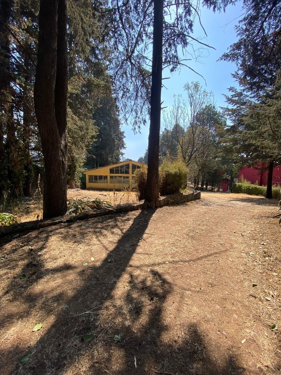 5 de 12
