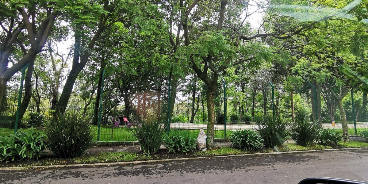 38 de 38: Parque de Jacarandas