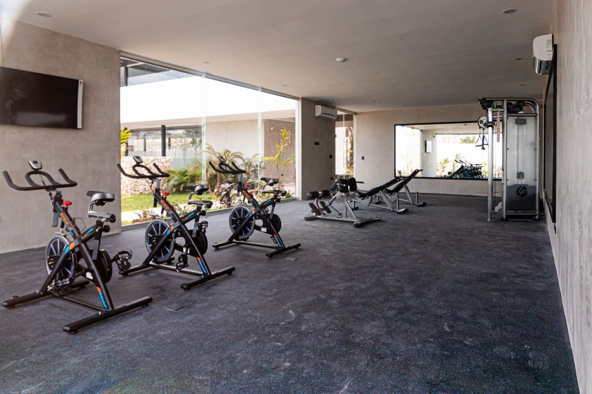 Gimnasio, foto 26 de 49