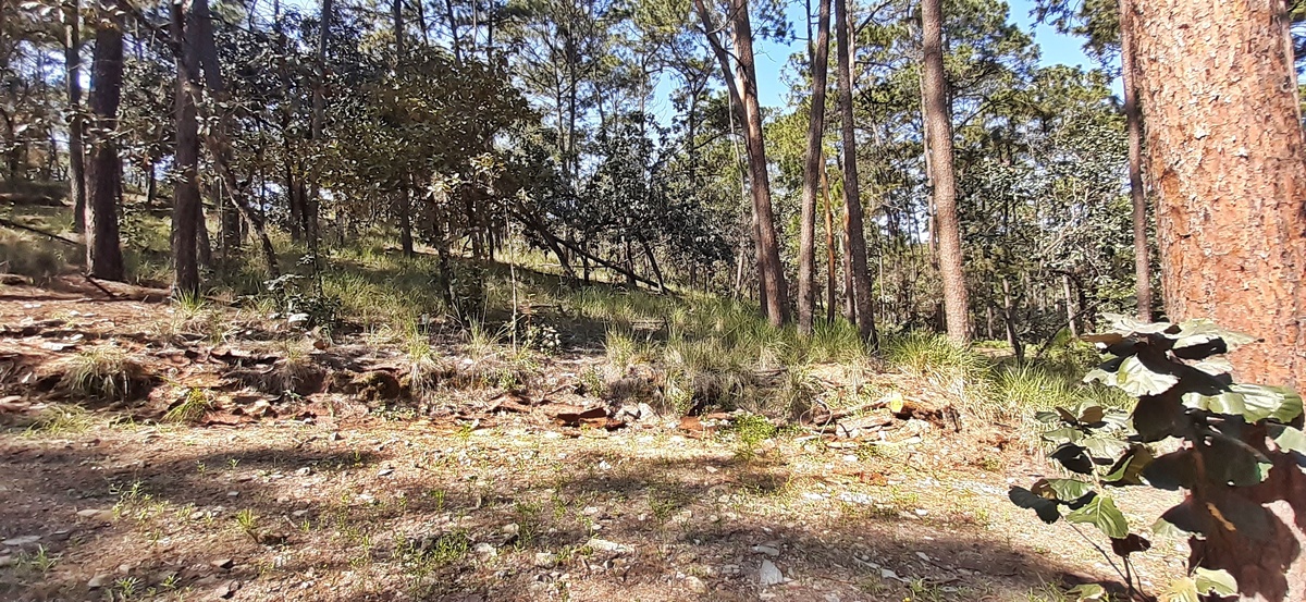 4 de 13