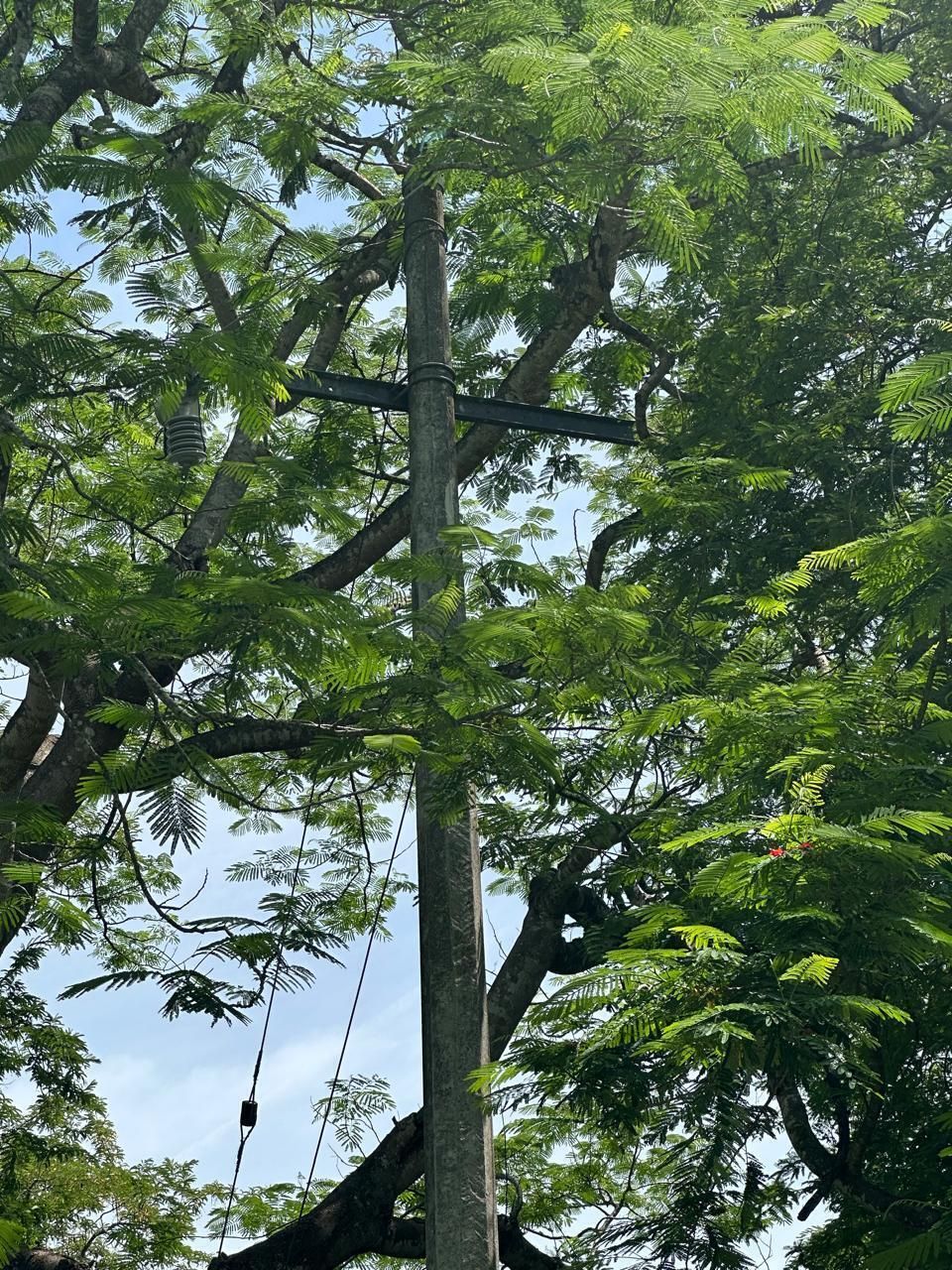 15 de 20