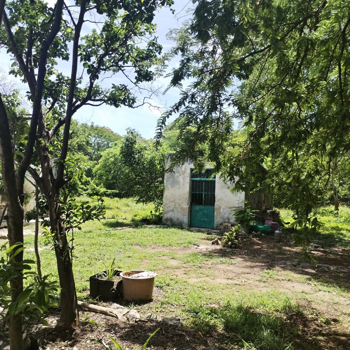 4 de 20