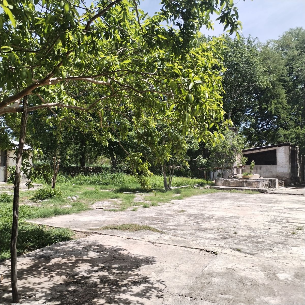 6 de 20