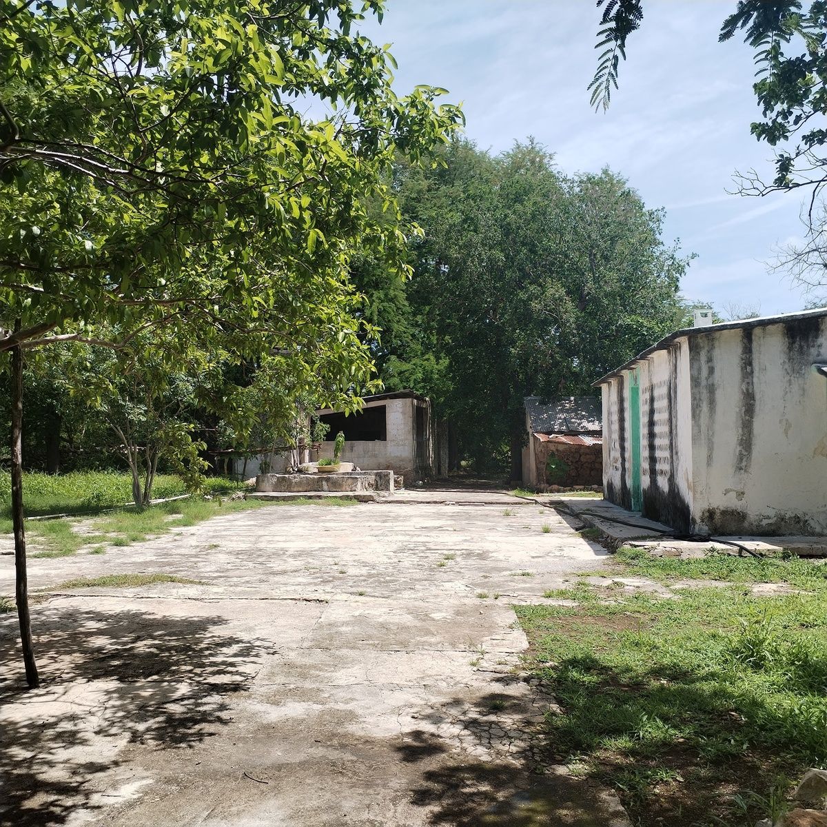 7 de 20