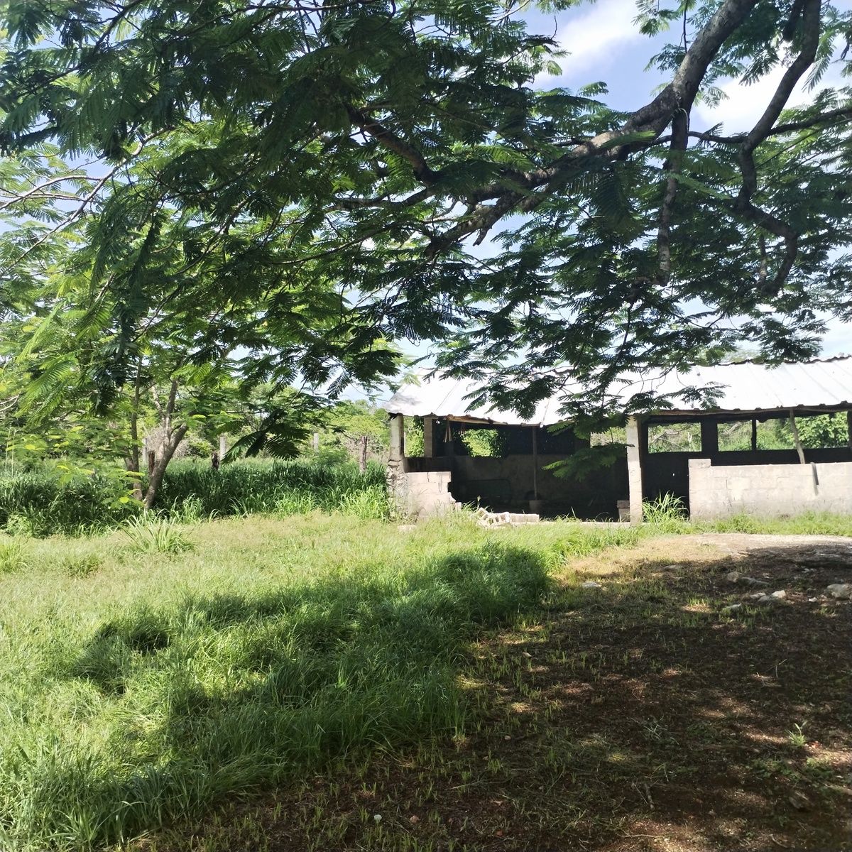 13 de 20