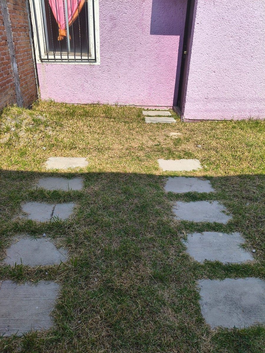 7 de 19