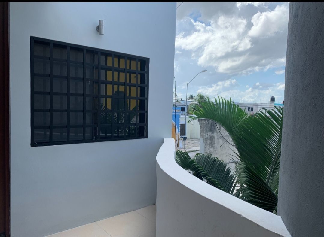 6 de 11