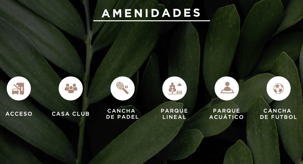 8 de 10