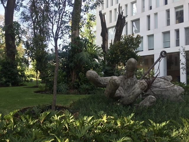 26 de 49: jardines