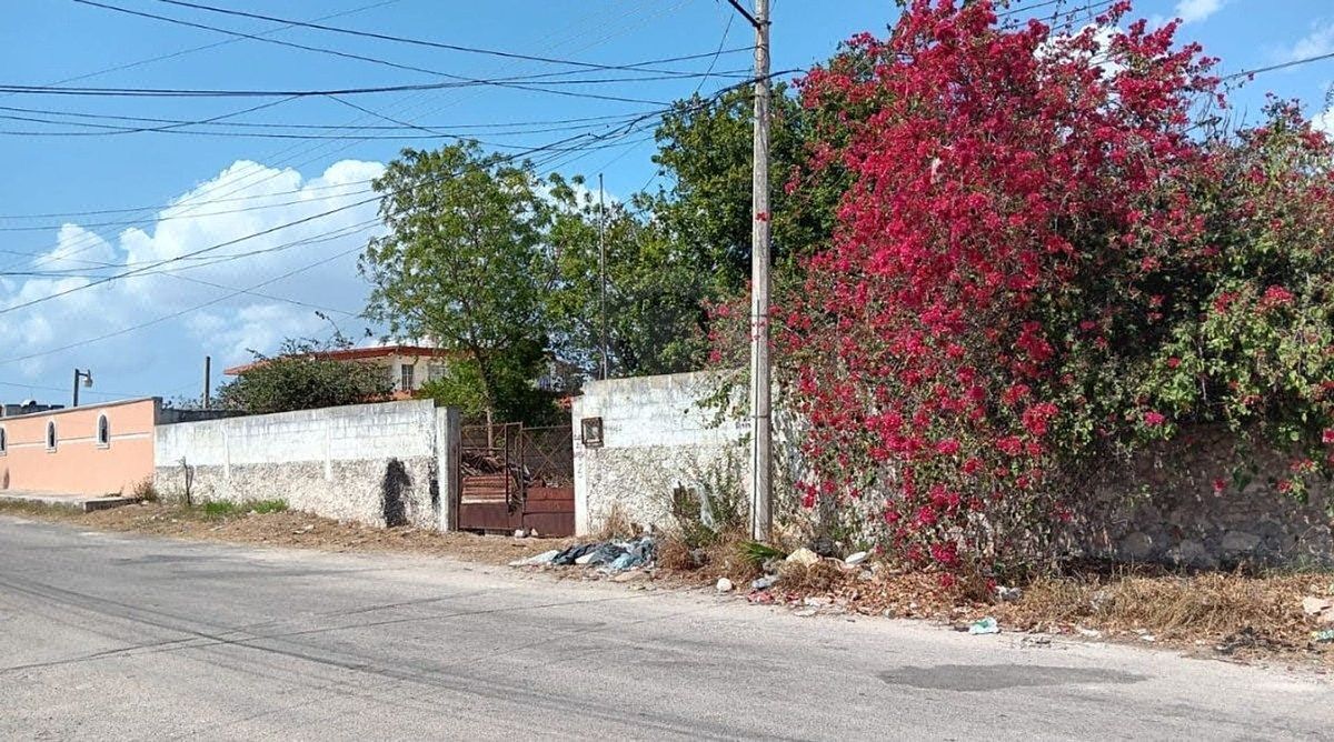 Venta de casa tipo quinta a unas cuadras del periférico en Reparto Granjas.. - foto 2