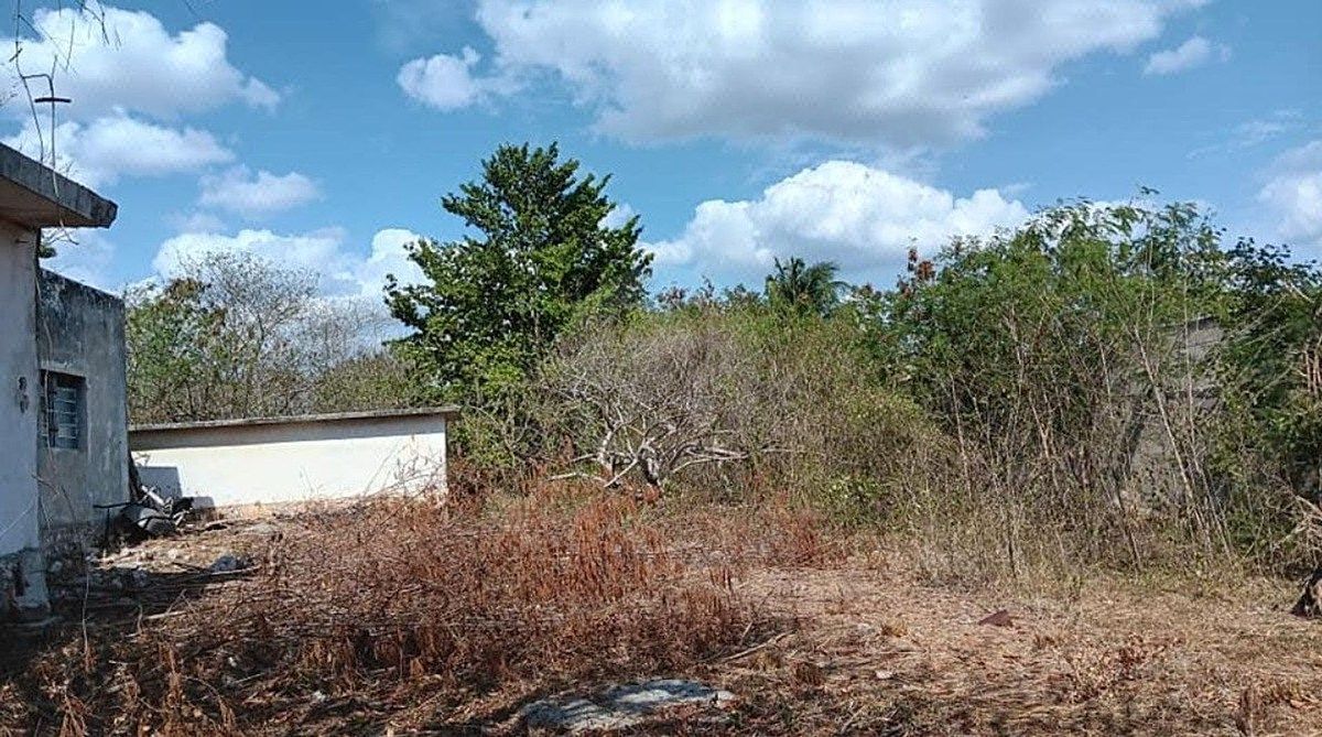 Venta de casa tipo quinta a unas cuadras del periférico en Reparto Granjas.. - foto 3