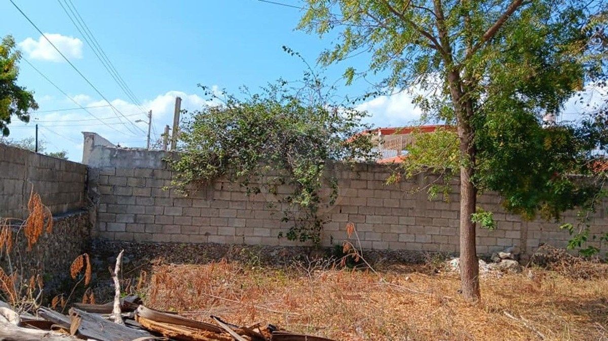 Venta de casa tipo quinta a unas cuadras del periférico en Reparto Granjas.. - foto 4