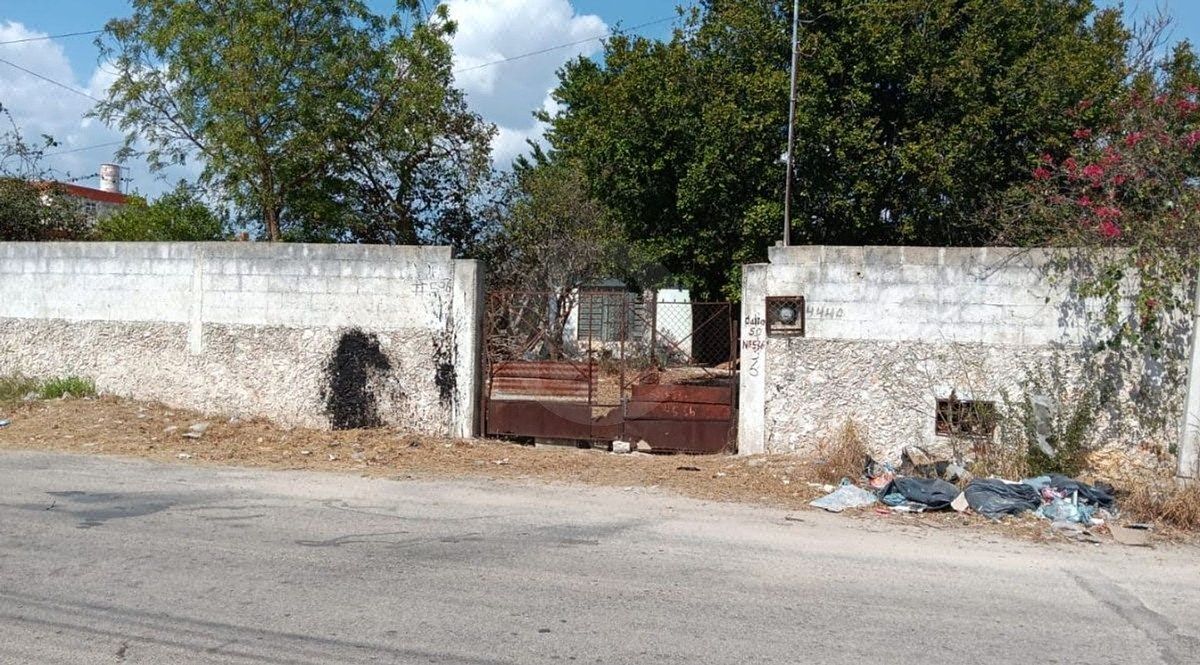 Venta de casa tipo quinta a unas cuadras del periférico en Reparto Granjas.. - foto 5