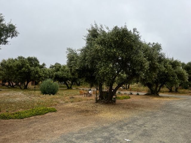 1.5 HA en el Valle de Guadalupe