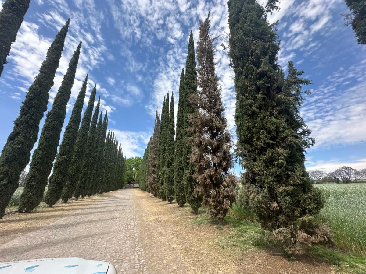 https://assets.easybroker.com/property_images/4412599/73697395/EB-PY2599.jpeg?version=1712692571