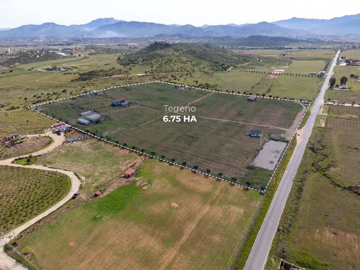 Terreno en venta, viñedo de 6.75 hect en Valle de Guadalupe