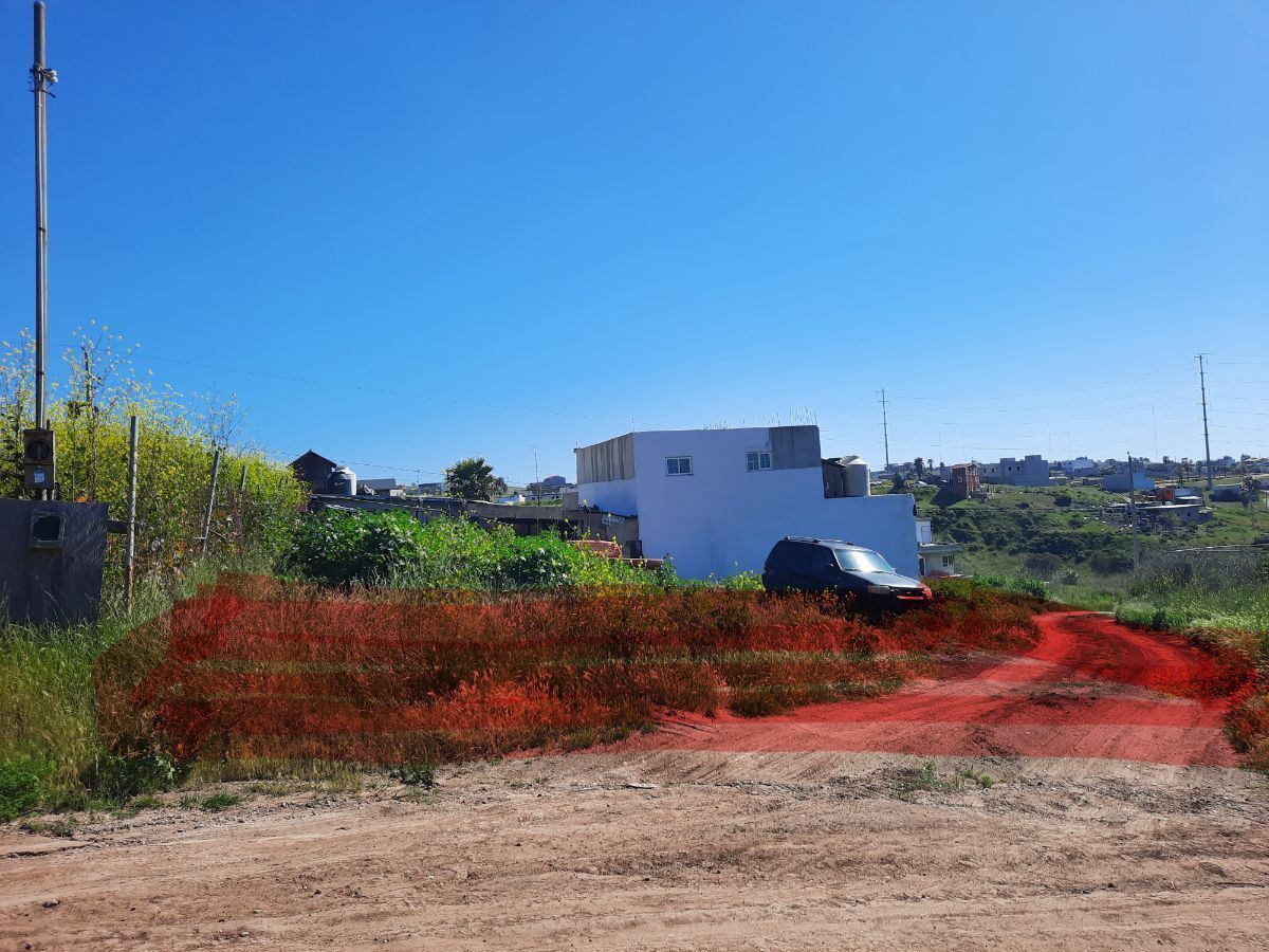 2 de 6