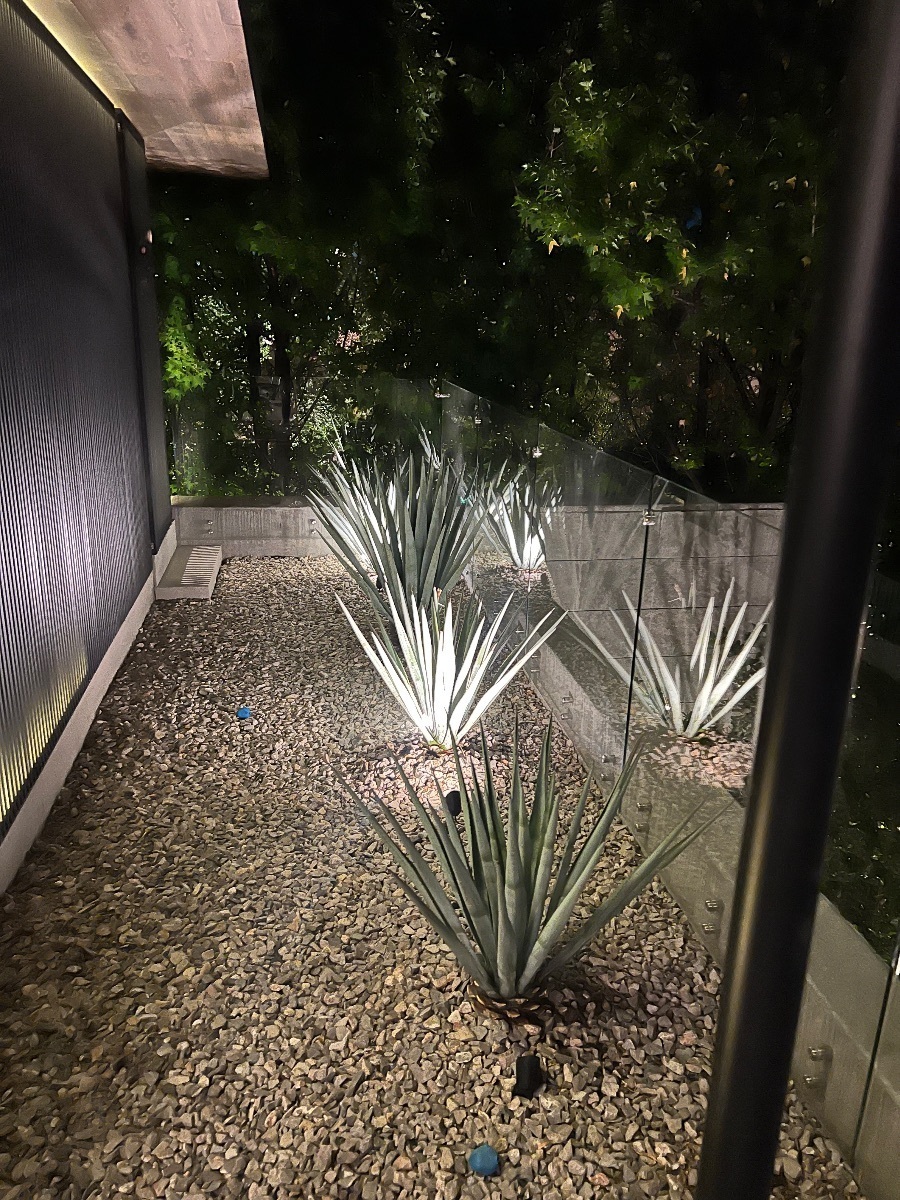 19 of 25