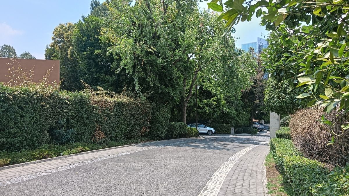 42 de 50