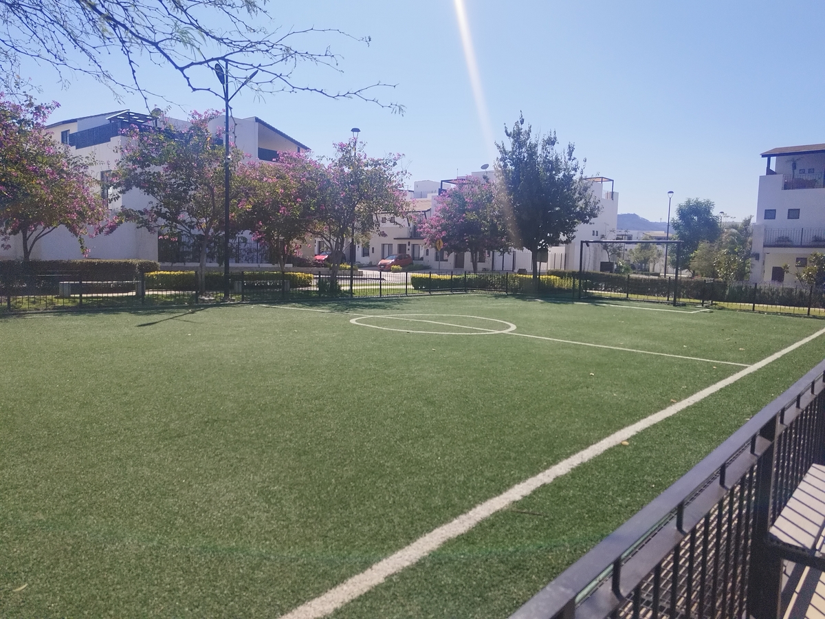 13 de 16