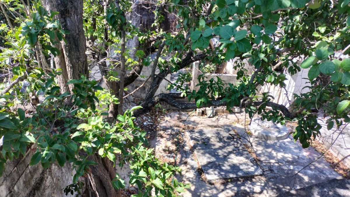 9 de 38: patio con arboles de casas en venta en ,merida yucatan