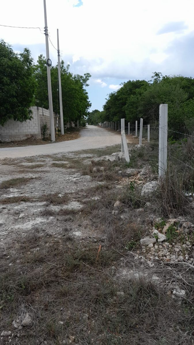 2 de 2
