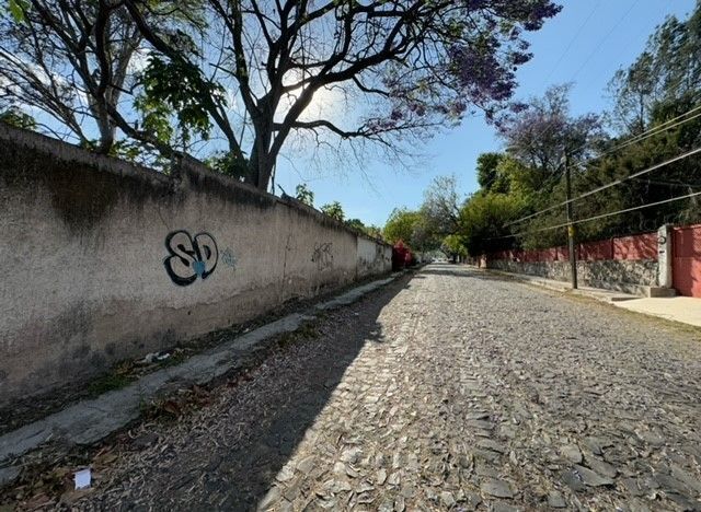 Imagen 2 de 6