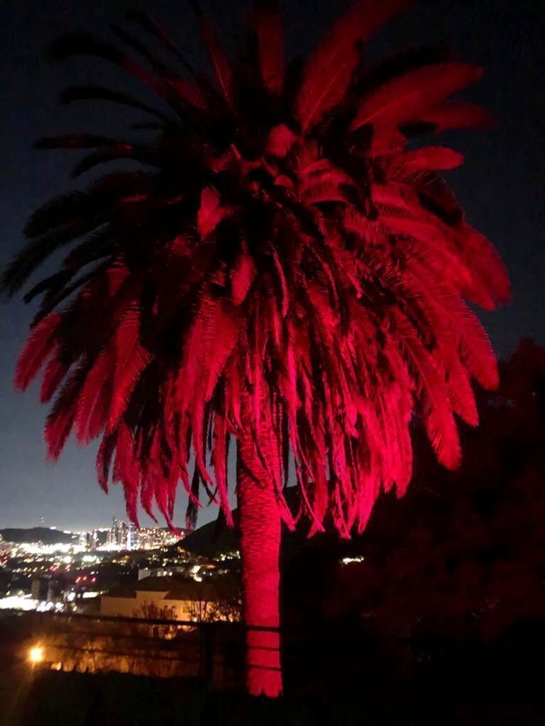 6 de 18