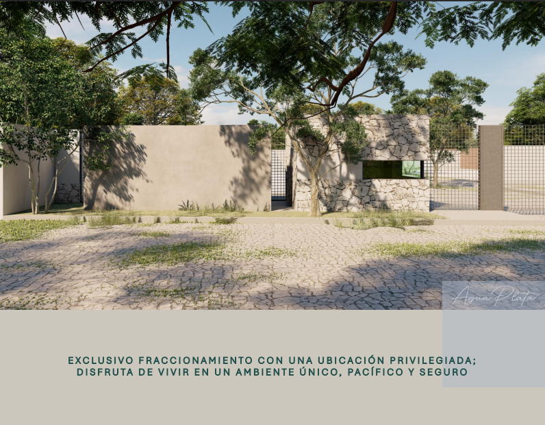 11 de 14